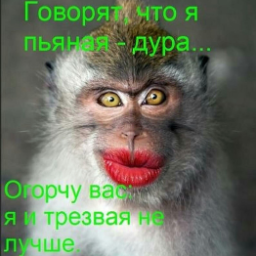Mimilja