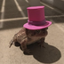 DeadSquirrel