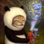 TaikongCat