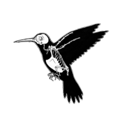 DeadHummingbird
