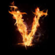 ������ ������������ joker220v