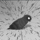 ������ ������������ JustLittleBird