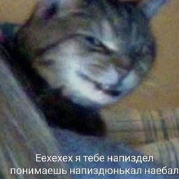Kantusha63