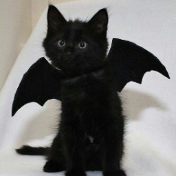 BlackBlackHeart1