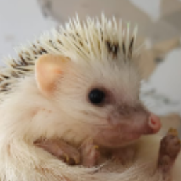 Bnhguro