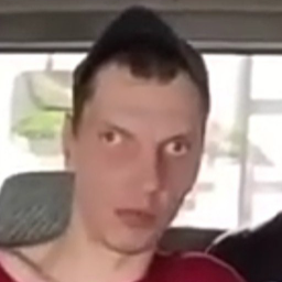 Ubivaudetei