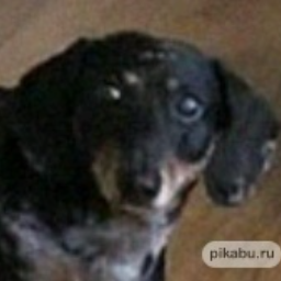 StrPie