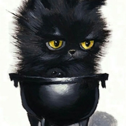 CatInCopper