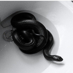viperinthebath