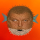 ������ ������������ Mr.Lohoed