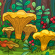 ������ ������������ Carpinus.betulus