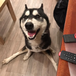 Xaxaev