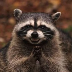 nnnssk