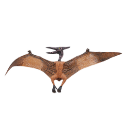 Pterodactyloid