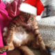 ������ ������������ elochka98