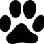 KotOtmorozkin