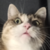 Yourkarma1