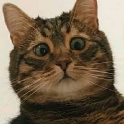2rapuH2
