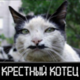������ ������������ russel174
