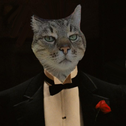 ThomasLawyer