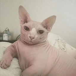 RenatBura