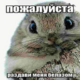 ����� ����� ������ ���� �����������