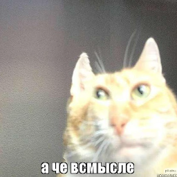 Biashka99