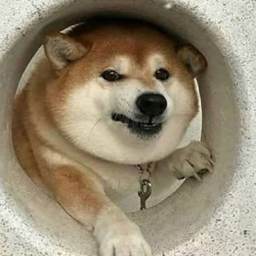DanilYurich96