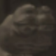 ������ ������������ EgXzeeT