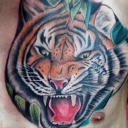 red.tiger