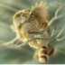 IdealSparrow