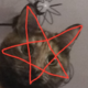 ������ ������������ HristaRadium