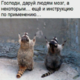 ������ ������������ Sarcasmnation
