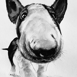 kisyha74