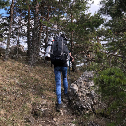 imironlady