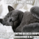������ ������������ Kubanoed23