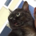 SadisDva