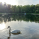������ ������������ Annette55