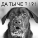������ ������������ Condratii