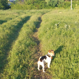 Tunrida.am
