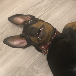 CrekiT