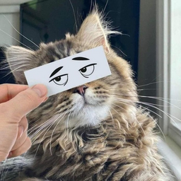 garryBob