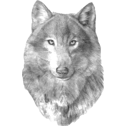 Okruta
