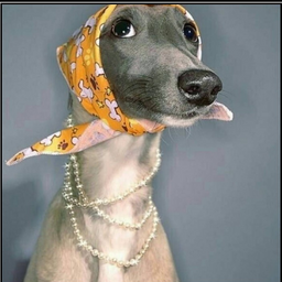 Emfizema
