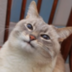 imyureyka