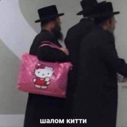 shalom.kitty