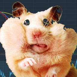 hamsterinvest