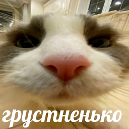 Annms01