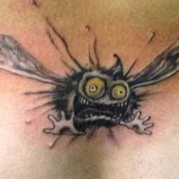 crazyfly84