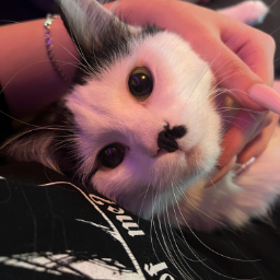 ilonawqwq